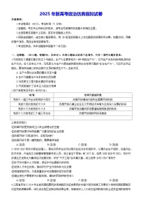 2025年新高考政治仿真模拟试卷（含答案解析）