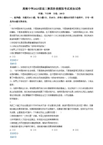 湖南省长沙市周南中学2024-2025学年高三上学期第四阶段模拟考试政治试题 含解析