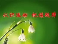 人教版 (新課標)高中政治必修4 2-4-2《認識運動__把握規(guī)律》新課講知課件