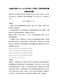 云南省玉溪市2024-2025学年高二上学期1月期末教学质量检测政治政治试卷（解析版）