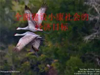 人教版 (新課標(biāo))高中政治必修1《全面建設(shè)小康社會(huì)的經(jīng)濟(jì)目標(biāo)》課件