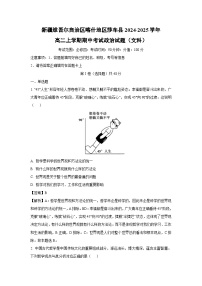 新疆维吾尔自治区喀什地区莎车县2024-2025学年高二上学期期中考试政治（文科）试题（解析版）