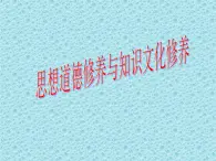 人教版 (新課標(biāo))高中政治必修3 4-10-2《思想道德修養(yǎng)與科學(xué)文化修養(yǎng)》課件