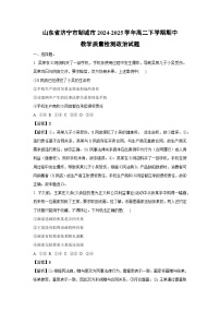 山东省济宁市邹城市2024-2025学年高二下学期期中教学质量检测政治试题（解析版）