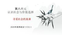 2025年高考政治二轮复习课件 寻觅社会的真谛