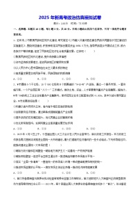 2025年新高考政治仿真模拟试卷（含答案+解析）