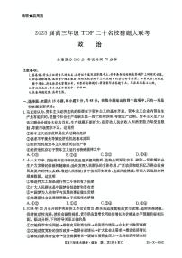 河南省TOP二十名校2025届高三猜题大联考政治试题（含答案）含答案解析