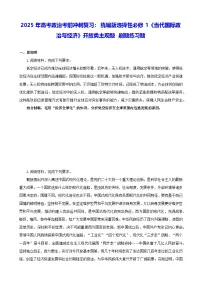 2025年高考政治考前冲刺复习：统编版选择性必修1《当代国际政治与经济》开放类主观题 刷题练习题（含答案）