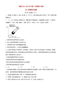 安徽省2024_2025学年高二政治上学期期中试题含解析
