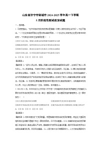 山东省济宁市邹城市2024-2025学年高一下学期5月阶段性测试政治试卷（解析版）