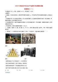 河北省沧州市三校联考2024_2025学年高三政治上学期11月期中联考试题含解析