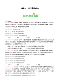 2025年高考政治真题分类汇编：专题10   当代国际政治（全国通用）（原卷版）