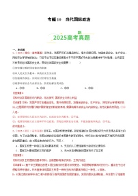 2025年高考政治真题分类汇编：专题10   当代国际政治（全国通用）（解析版）
