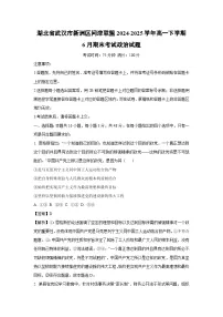 【政治】湖北省武汉市新洲区问津联盟2024-2025学年高一下学期6月期末考试政治试题（解析版）