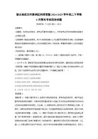 湖北省武汉市新洲区问津联盟2024-2025学年高二下学期6月期末考试政治政治试卷（解析版）
