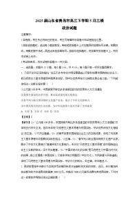 2025届山东省青岛市高三下学期下5月三模政治试卷（解析版）