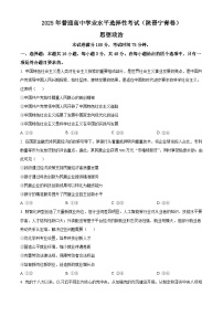 2025年高考政治真题含答案解析（参考版）适用地区：陕西、山西、宁夏、青海
