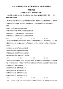 2025年高考政治真题解析  适用地区：陕西、山西、宁夏、青海