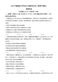 2025年高考真题——政治（陕晋青宁卷） Word版无答案