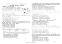 2025届四川省成都市树德中学高三下学期11月半期考-政治试题（含答案）