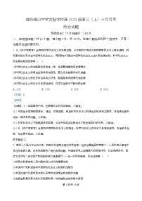 四川省绵阳南山中学实验学校2025-2026学年高三上学期10月月考政治试卷（Word版附解析）