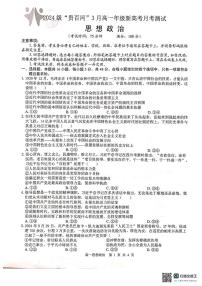 广西壮族自治区“贵百河”联考2024-2025学年高一下学期3月月考政治试卷