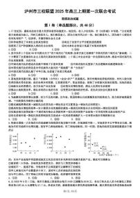 四川省泸州市三校联盟2025年高三上期第一次联合考试政治含答案解析