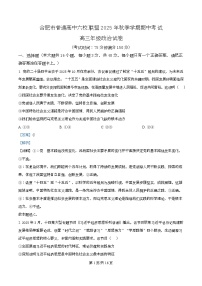 安徽省合肥市普通高中六校联盟2025-2026学年高三上学期11月期中考试 政治 Word版含解析