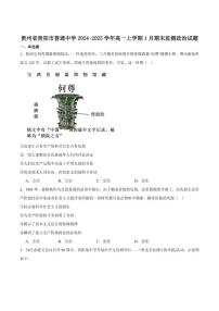 2024-2025学年贵州省贵阳市高一上学期期末监测政治试卷(有答案)