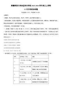 2025-2026学年新疆维吾尔自治区部分学校高三上学期11月月考政治试卷（学生版）