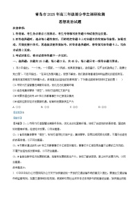 山东省青岛市2024-2025学年高三上学期期末调研检测政治试卷 含解析