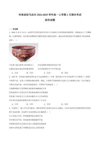 河南省驻马店市2024-2025学年高一上学期1月期末质量监测政治试卷（含答案）