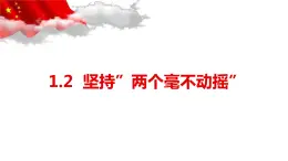 统编版高中政治必修二1.2 坚持两个毫不动摇（共17张ppt）