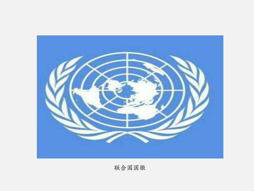 8.2+聯(lián)合國 課件第8頁
