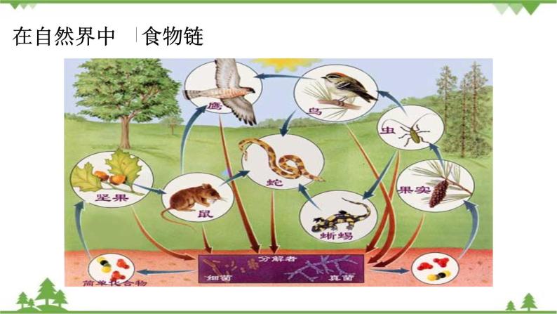 课件 7.1 世界是普遍联系的-2021学年高二政治同步备课 课件（人教版必修四）07