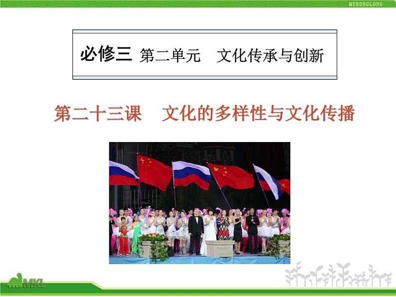 人教版高中政治复习课件:3-2.3文化的多样性与文化传播第1页