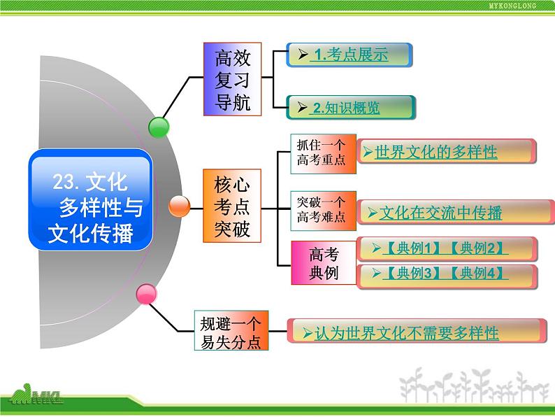 人教版高中政治复习课件:3-2.3文化的多样性与文化传播第2页