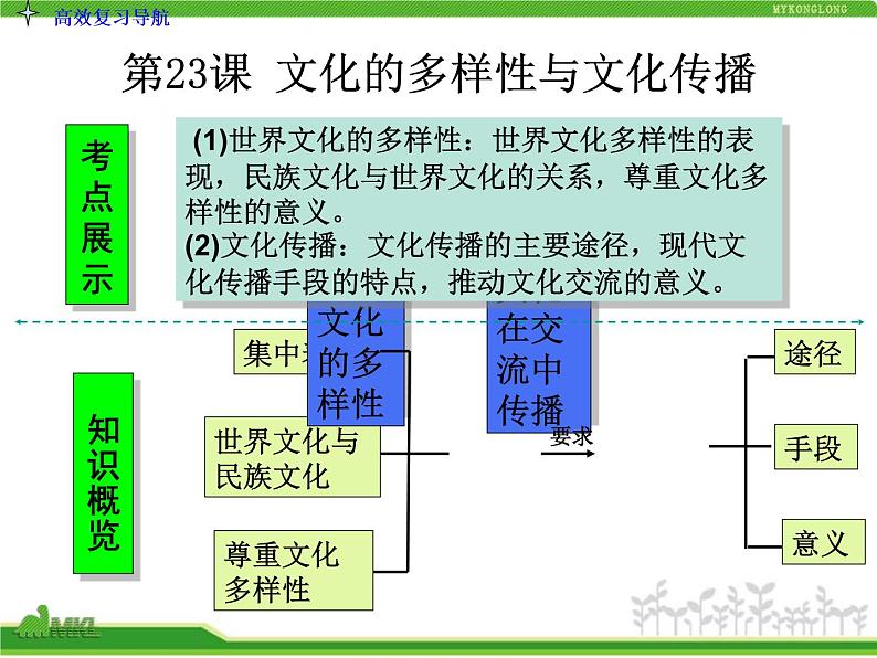 人教版高中政治复习课件:3-2.3文化的多样性与文化传播第3页