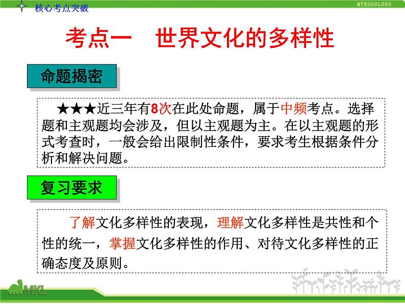 人教版高中政治复习课件:3-2.3文化的多样性与文化传播第4页