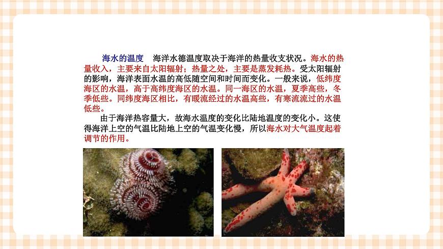 第三章 海洋環(huán)境 課件第8頁(yè)