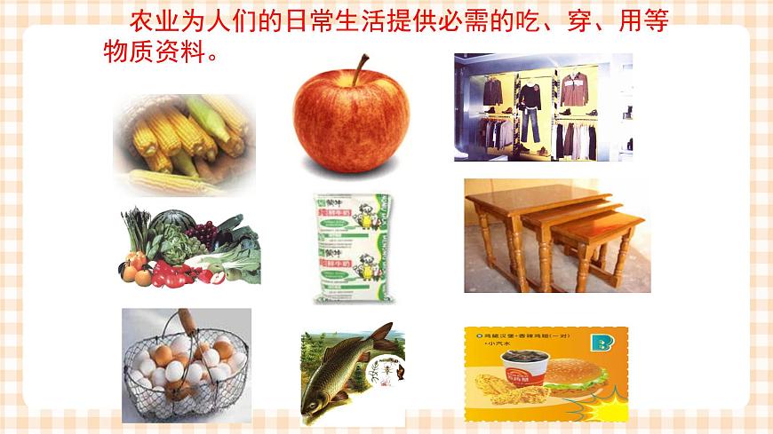 5.1 農(nóng)業(yè)生產(chǎn)和分布 課件第4頁(yè)