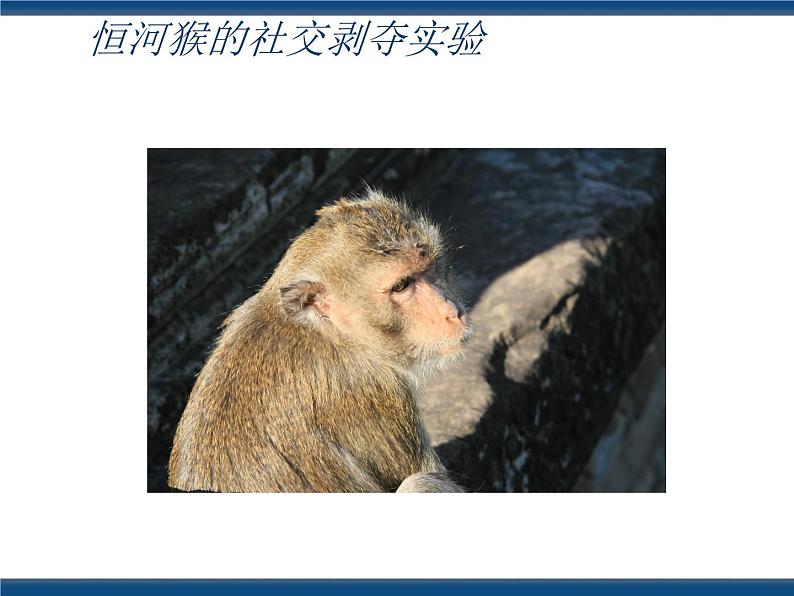 人教版(中职)心理健康 3.1 学会交往 沟通你我 课件02