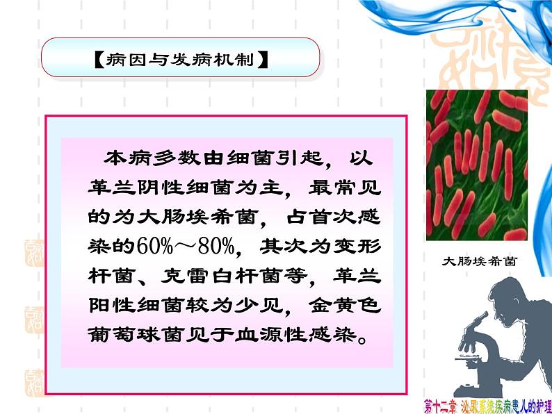 《儿科护理》第12章-第4节 小儿尿路感染的护理 课件07