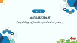 中职妇产科学第二章 女性生殖系统生理 课件