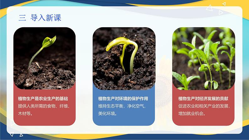 项目1 1.2 植物生产的两大要素(1)(课件)- 《植物生产与环境》(高教版第四版)同步精品课堂第4页
