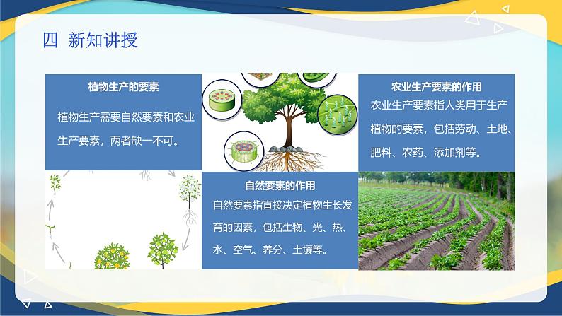 项目1 1.2 植物生产的两大要素(1)(课件)- 《植物生产与环境》(高教版第四版)同步精品课堂第5页