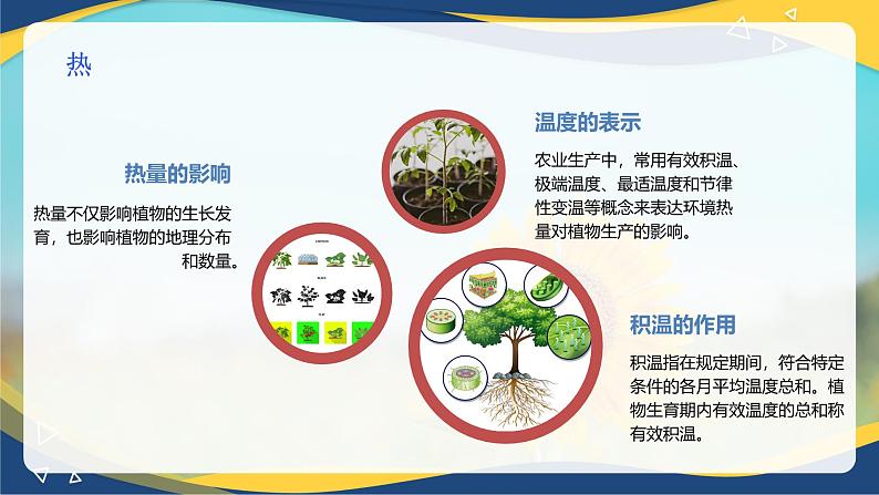 项目1 1.2 植物生产的两大要素(1)(课件)- 《植物生产与环境》(高教版第四版)同步精品课堂第8页