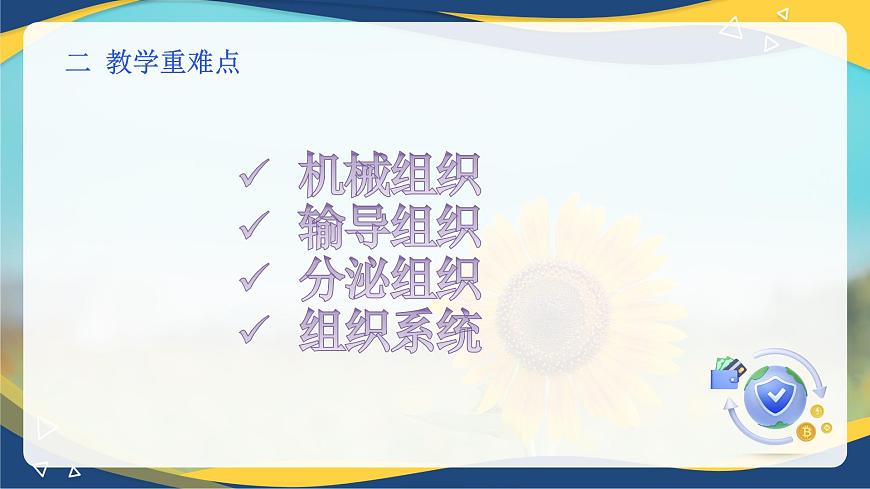項目2 2.2 植物的組織（3）（課件）-《植物生產(chǎn)與環(huán)境》（高教版第4版）同步精品課堂第3頁