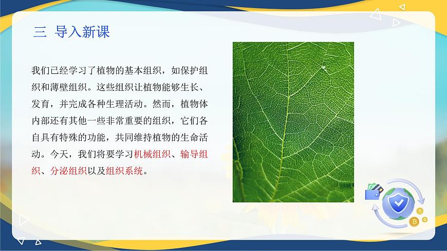 項目2 2.2 植物的組織（3）（課件）-《植物生產(chǎn)與環(huán)境》（高教版第4版）同步精品課堂第4頁