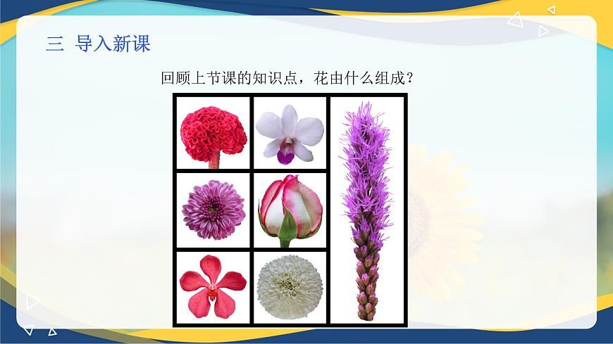 項目2 2.4 植物的生殖器官（2）（課件）-《植物生產與環(huán)境》（高教版第4版）同步精品課堂第4頁